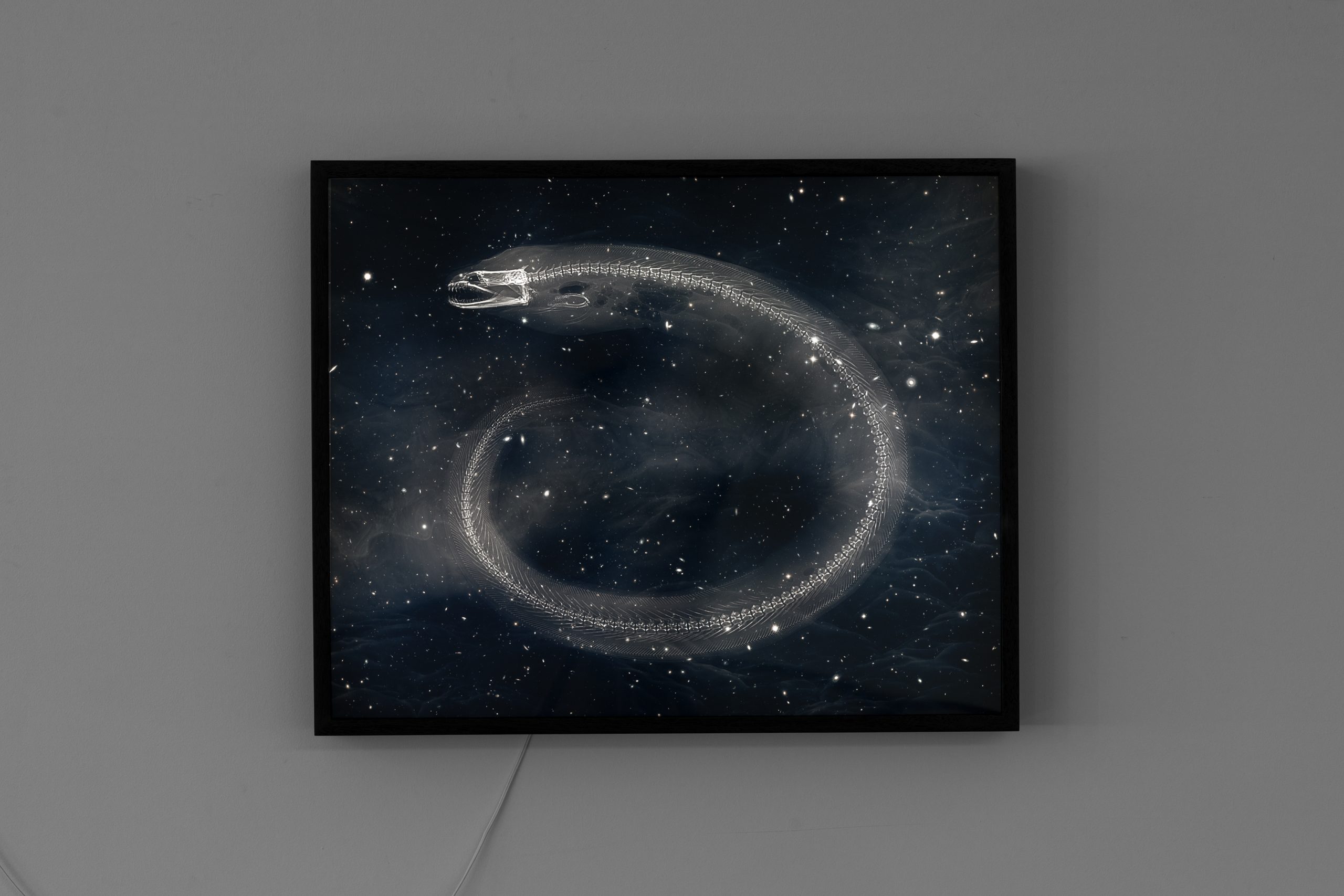 In memory of stars